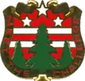 124th Army Reserve Command"Meet the Challenge"