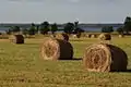 Hay bails