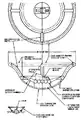 Paracone Configuration