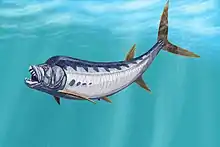 Xiphactinus audax